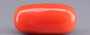 Italian Red Coral - 11.87 Carat Limited Quality CC-5923