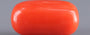 Italian Red Coral - 12.46 Carat Rare Quality CC-5657
