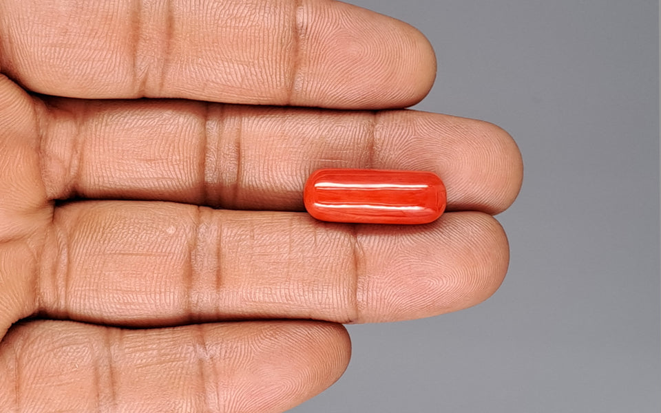 Italian Red Coral - 12.85 Carat Prime Quality CC-5912