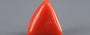 Italian Red Coral - 13.12 Carat Limited Quality TC-5325