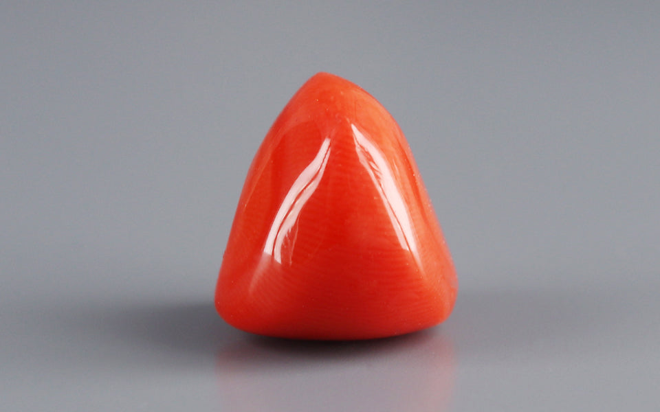 Red Coral - 13.14 Carat (14.52 Ratti - Moonga)