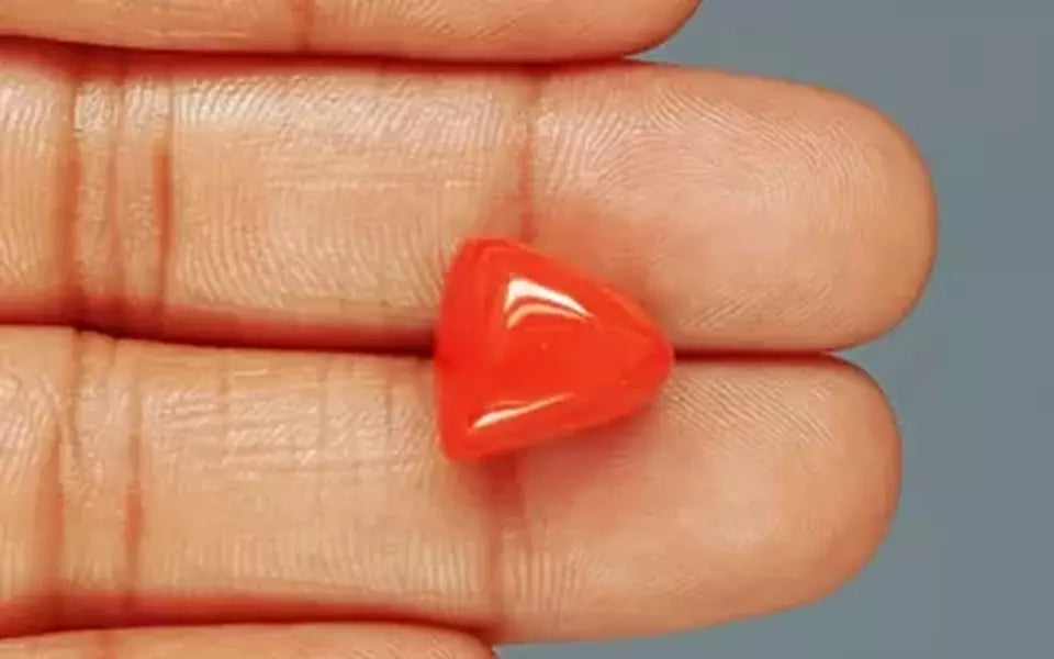 Red Coral - 13.14 Carat (14.52 Ratti - Moonga)