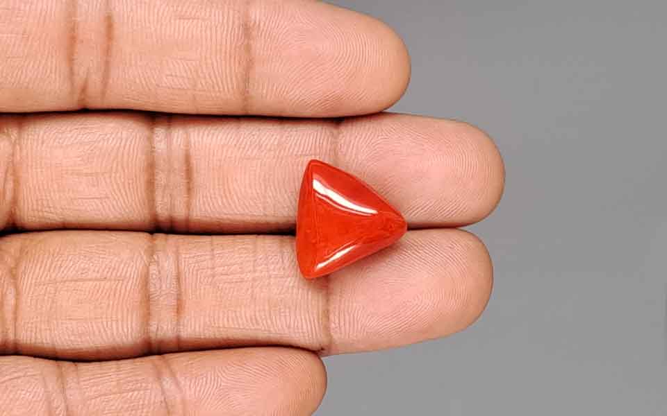 Red Coral - 13.30 Carat (14.70 Ratti - Moonga)