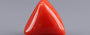 Red Coral - 13.30 Carat (14.70 Ratti - Moonga)