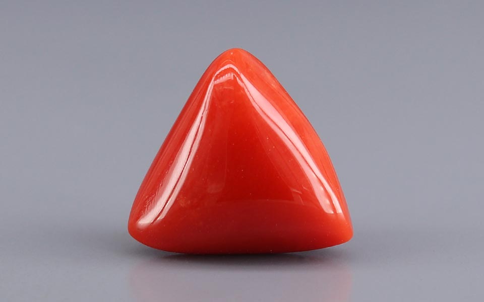 Italian Red Coral - 13.30 Carat Prime Quality TC-5449