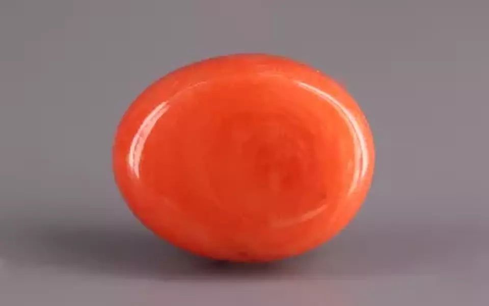 Red Coral - 13.66 Carat (15.09 Ratti - Moonga)