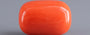 Red Coral - 13.87 Carat (15.33 Ratti - Moonga)
