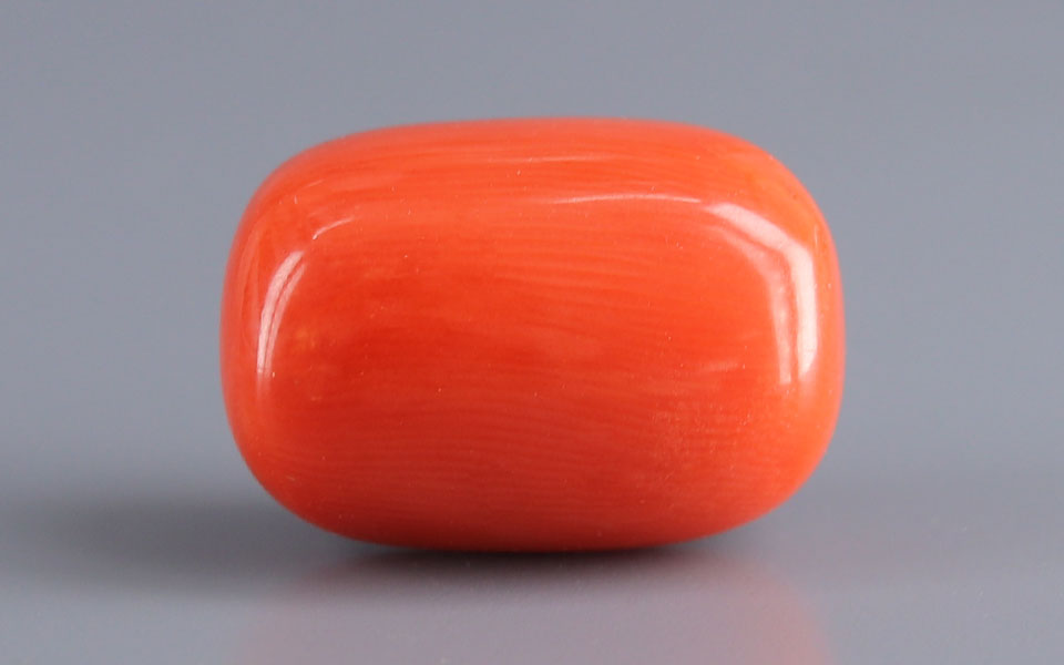 Red Coral - 13.87 Carat (15.33 Ratti - Moonga)
