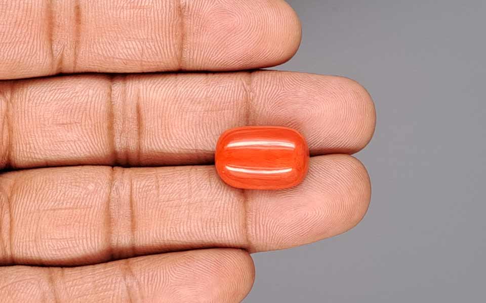 Red Coral - 13.87 Carat (15.33 Ratti - Moonga)