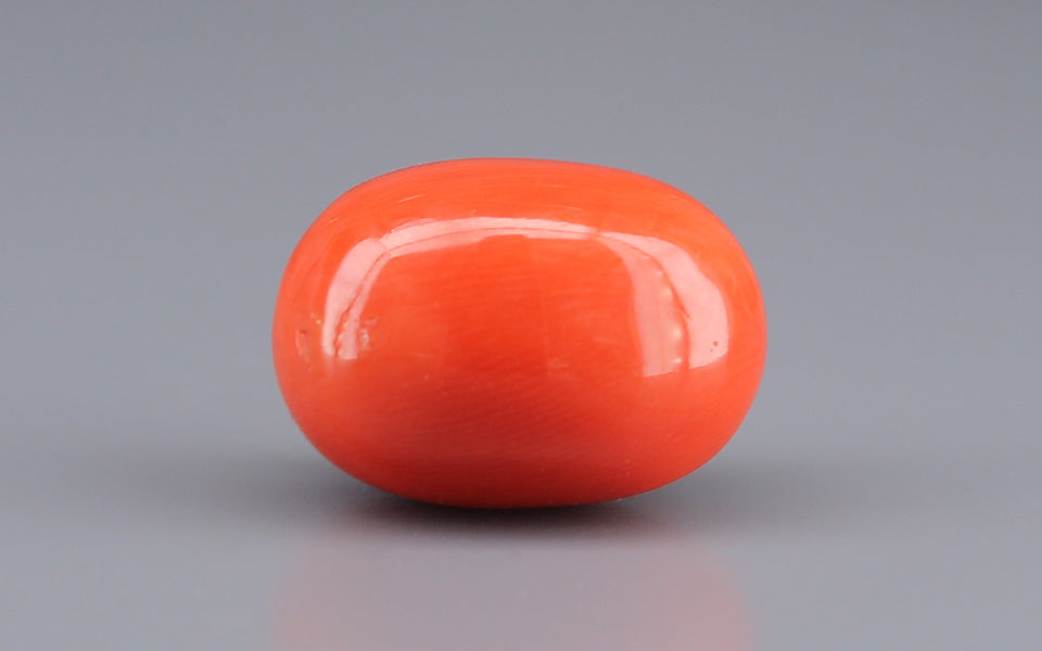 Red Coral - 14.41 Carat (15.92 Ratti - Moonga)