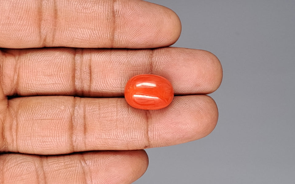 Red Coral - 14.41 Carat (15.92 Ratti - Moonga)