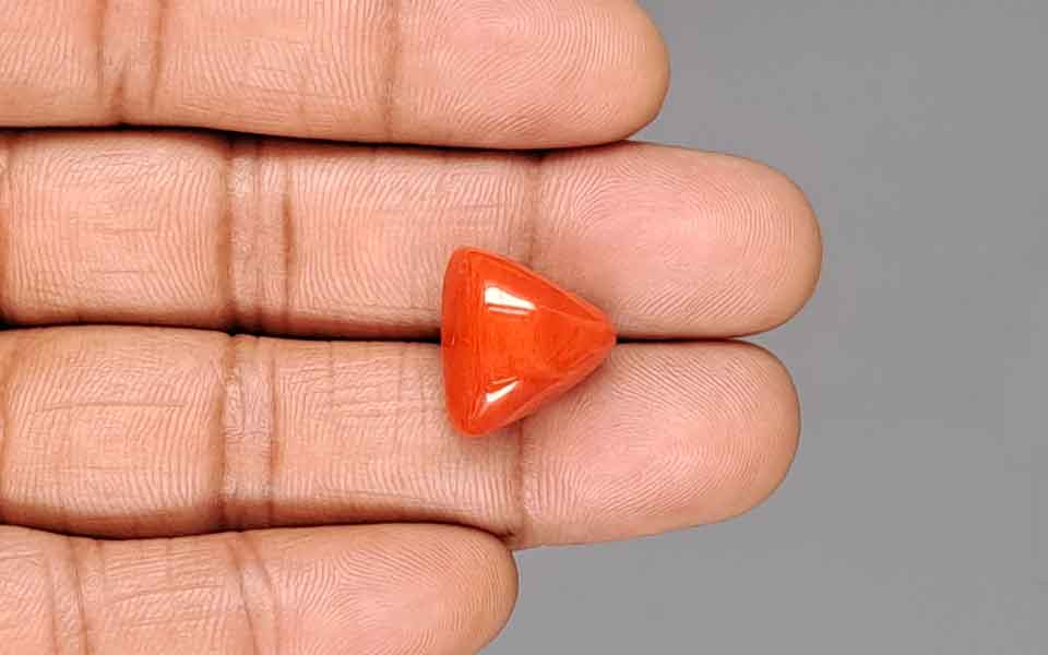 Red Coral - 15.30 Carat (16.91 Ratti - Moonga)