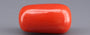 Italian Red Coral - 15.87 Carat Limited Quality CC-5924