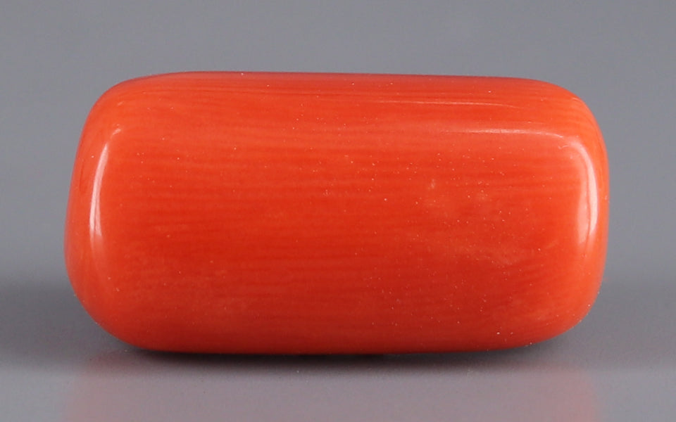 Red Coral - 15.95 Carat (17.62 Ratti - Moonga)