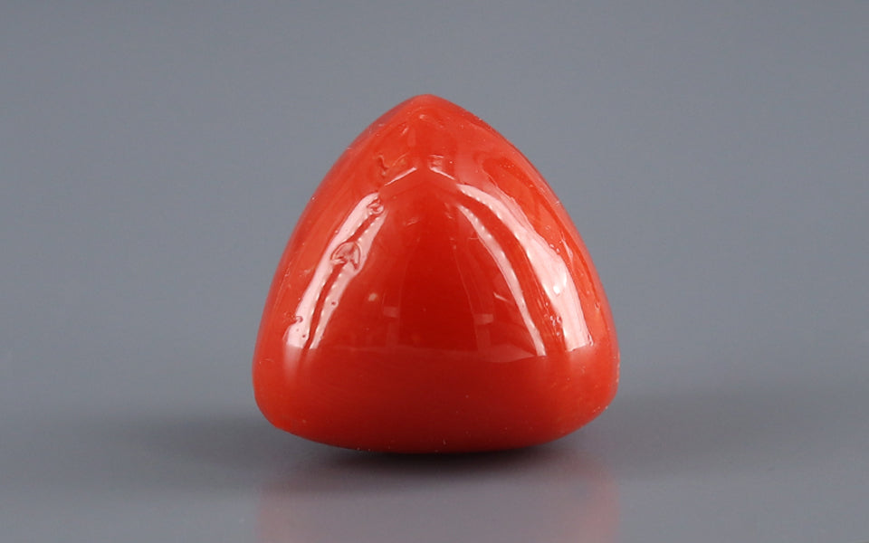 Italian Red Coral - 16.12 Carat Limited Quality TC-5327