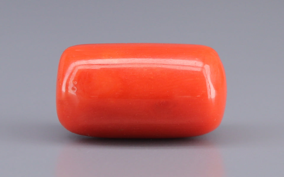 Red Coral - 16.25 Carat (17.96 Ratti - Moonga)