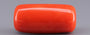 Italian Red Coral - 16.58 Carat Limited Quality CC-5930
