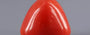 Italian Red Coral - 16.59 Carat Limited Quality TC-5323