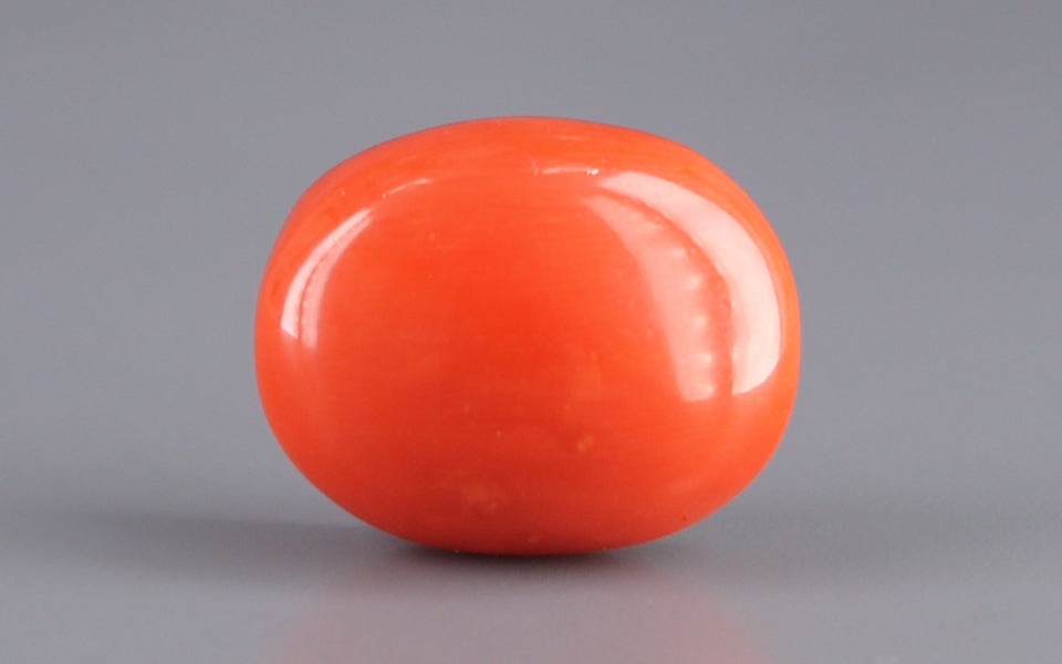 Red Coral - 16.94 Carat (18.72 Ratti - Moonga)