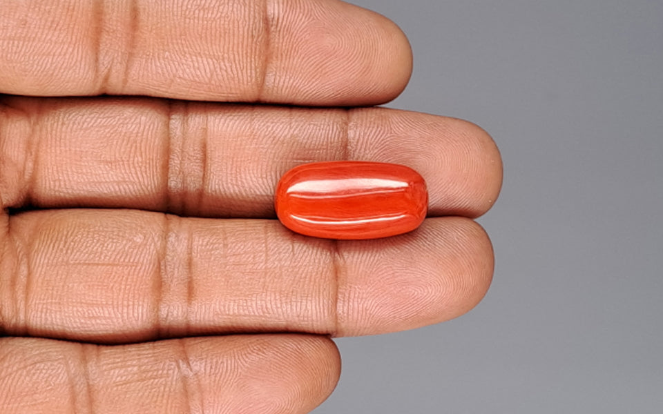 Red Coral - 17.65 Carat (19.50 Ratti - Moonga)