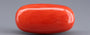 Red Coral - 17.65 Carat (19.50 Ratti - Moonga)