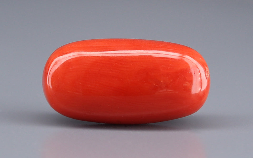 Italian Red Coral - 17.65 Carat Rare Quality CC-5911