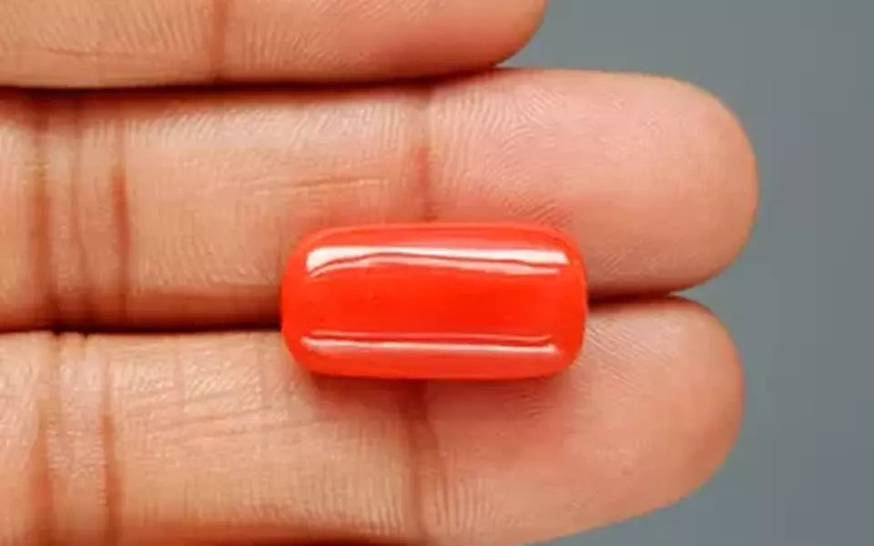 Red Coral - 17.69 Carat (19.55 Ratti - Moonga)