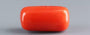 Red Coral - 17.69 Carat (19.55 Ratti - Moonga)