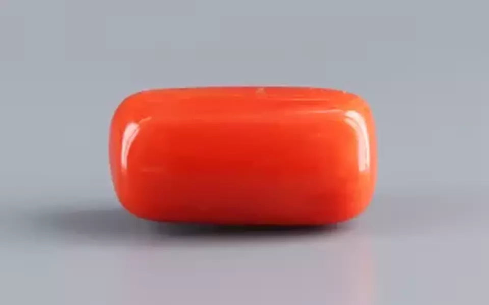 Red Coral - 17.69 Carat (19.55 Ratti - Moonga)