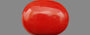 Red Coral - 17.91 Carat (19.79 Ratti - Moonga)