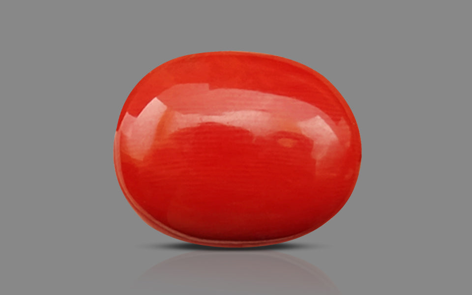 Red Coral - 17.91 Carat (19.79 Ratti - Moonga)
