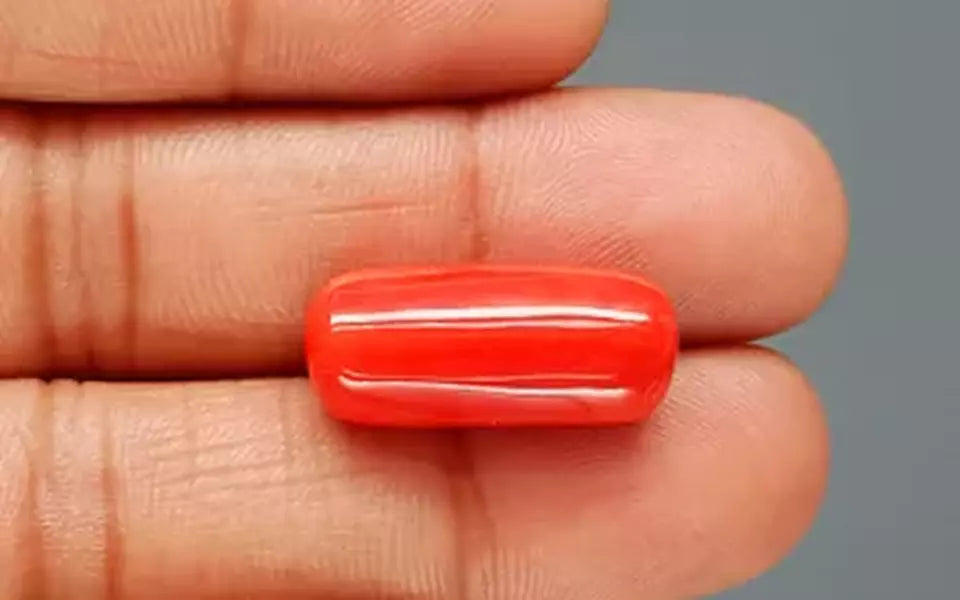 Red Coral - 18.14 Carat (20.04 Ratti - Moonga)