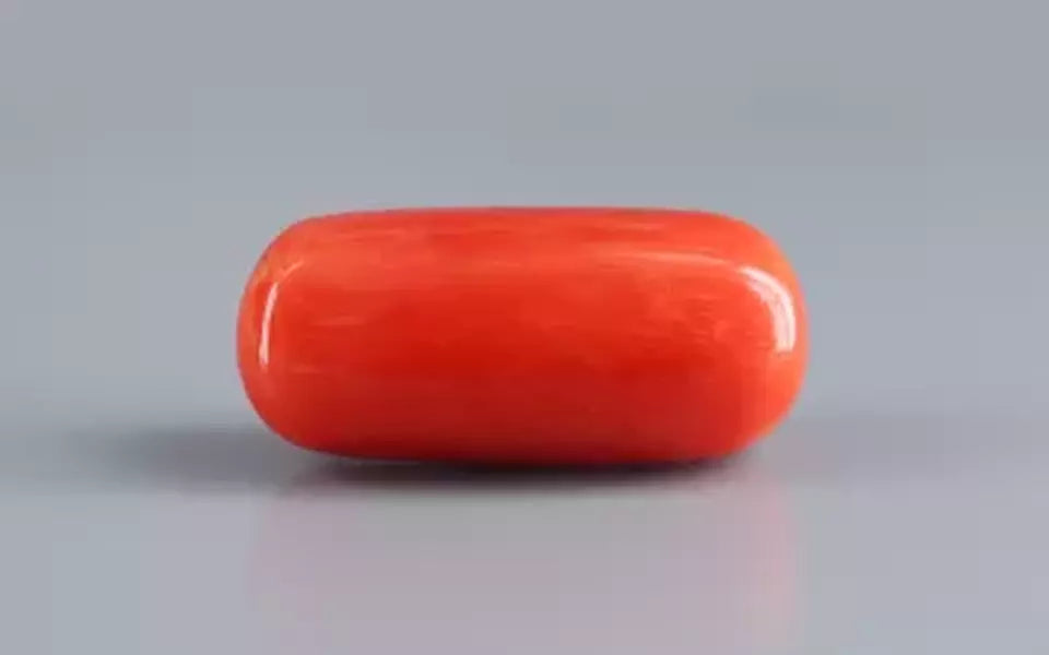 Red Coral - 18.14 Carat (20.04 Ratti - Moonga)