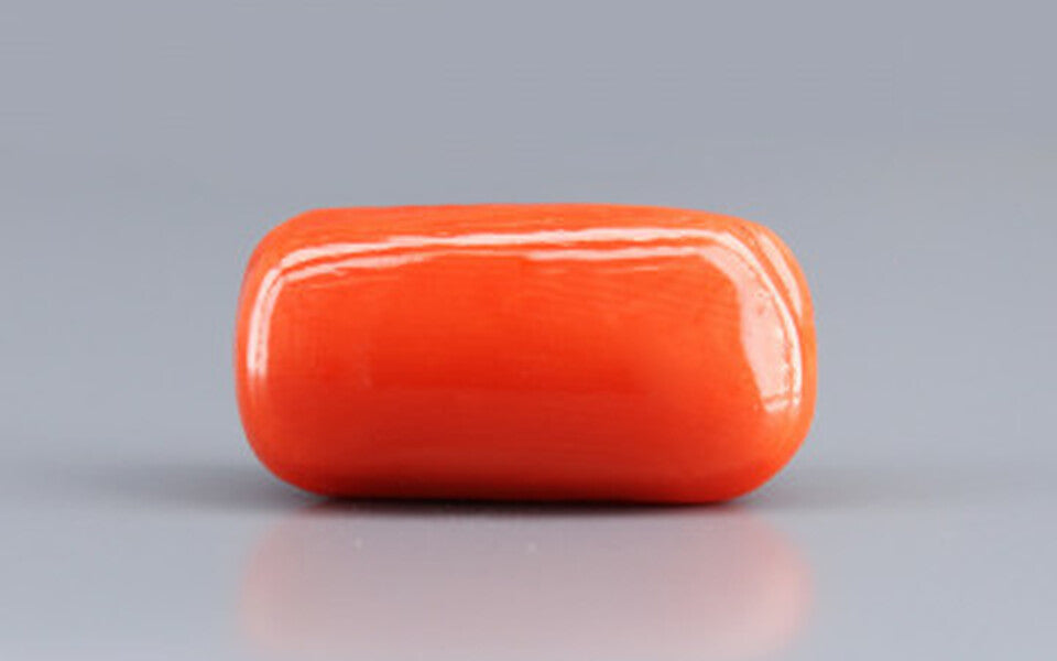 Red Coral - 18.28 Carat (20.20 Ratti - Moonga)