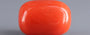 Red Coral - 18.48 Carat (20.42 Ratti - Moonga)