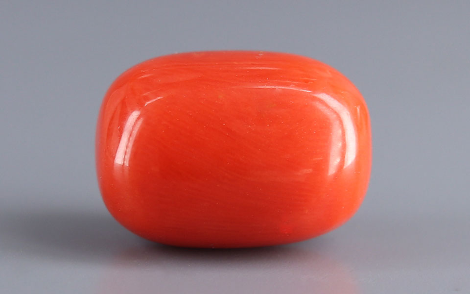 Red Coral - 18.48 Carat (20.42 Ratti - Moonga)