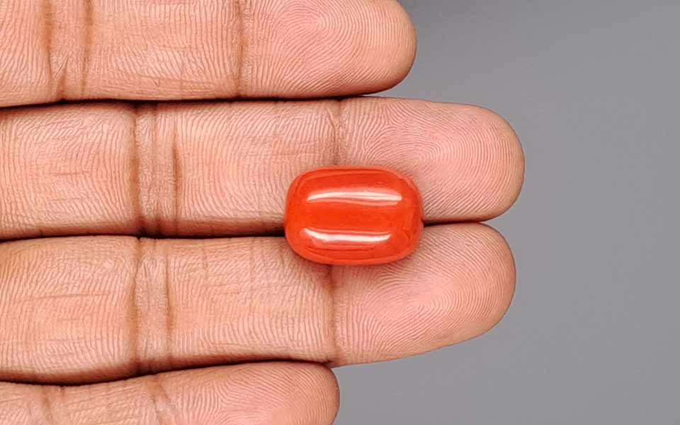Red Coral - 18.48 Carat (20.42 Ratti - Moonga)