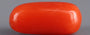Red Coral - 2.15 Carat (2.38 Ratti - Moonga)