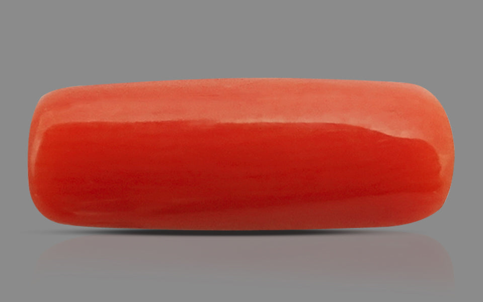 Italian Red Coral - 2.65 Carat Prime Quality CC-5612