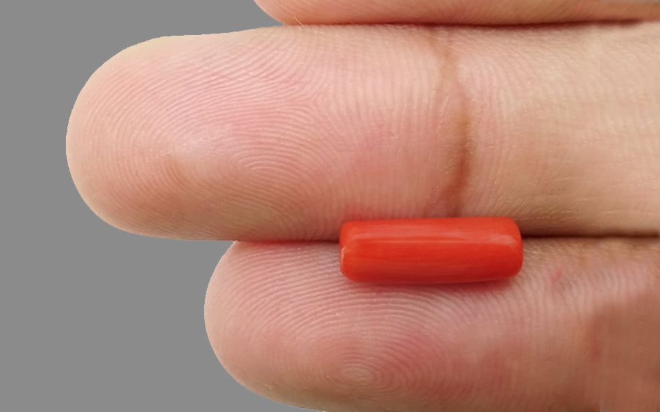 Italian Red Coral - 2.65 Carat Prime Quality CC-5612