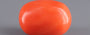 Italian Red Coral - 22.28 Carat Rare Quality CC-5503