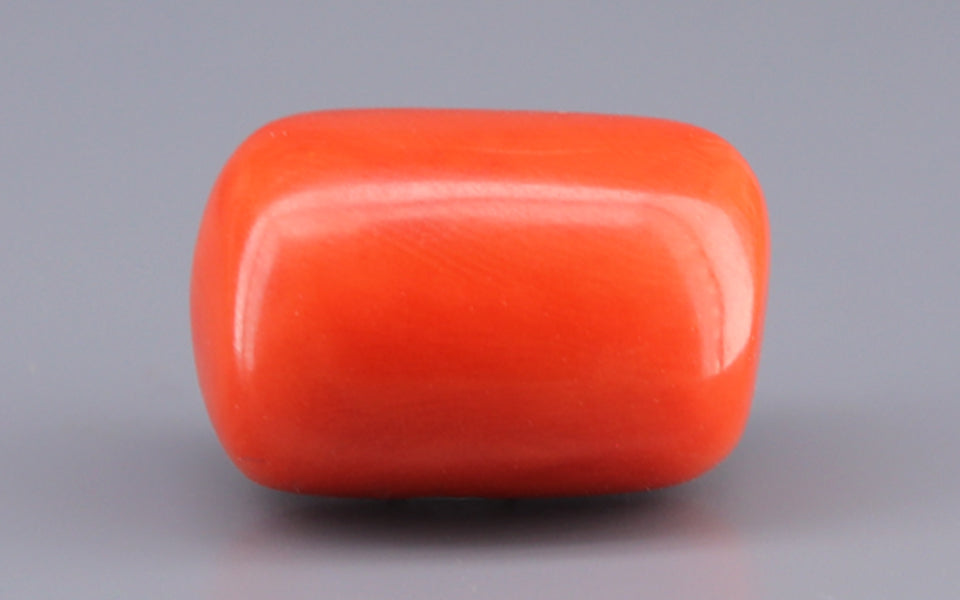 Red Coral - 22.59 Carat (24.96 Ratti - Moonga)