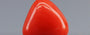 Red Coral - 3.07 Carat (3.39 Ratti - Moonga)