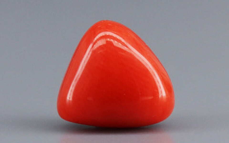 Red Coral - 3.07 Carat (3.39 Ratti - Moonga)