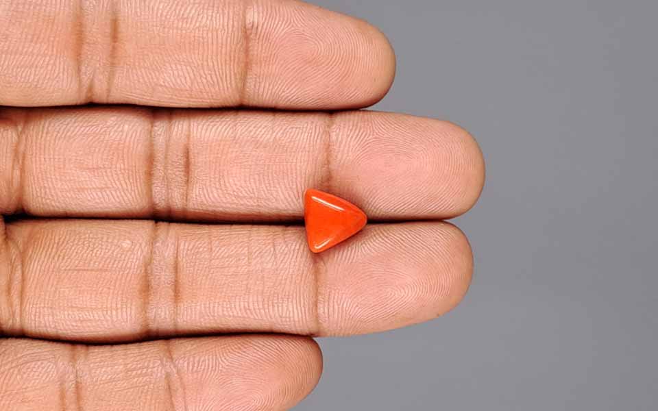 Red Coral - 3.11 Carat (3.44 Ratti - Moonga)