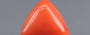 Red Coral - 3.11 Carat (3.44 Ratti - Moonga)