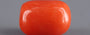 Italian Red Coral - 3.14 Carat Limited Quality CC-5645