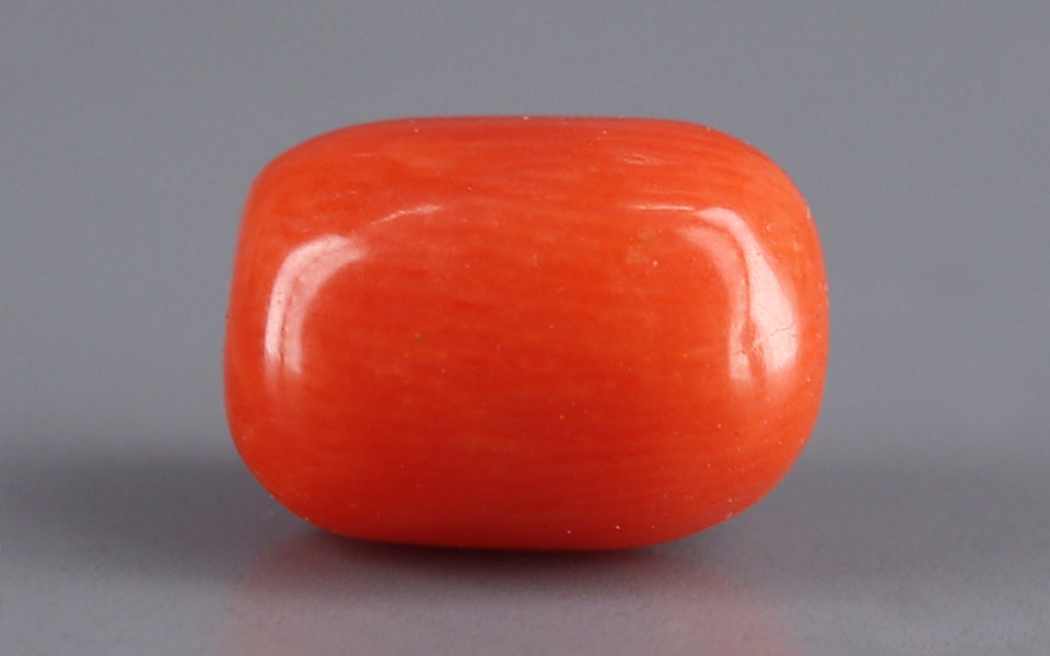 Italian Red Coral - 3.14 Carat Limited Quality CC-5645