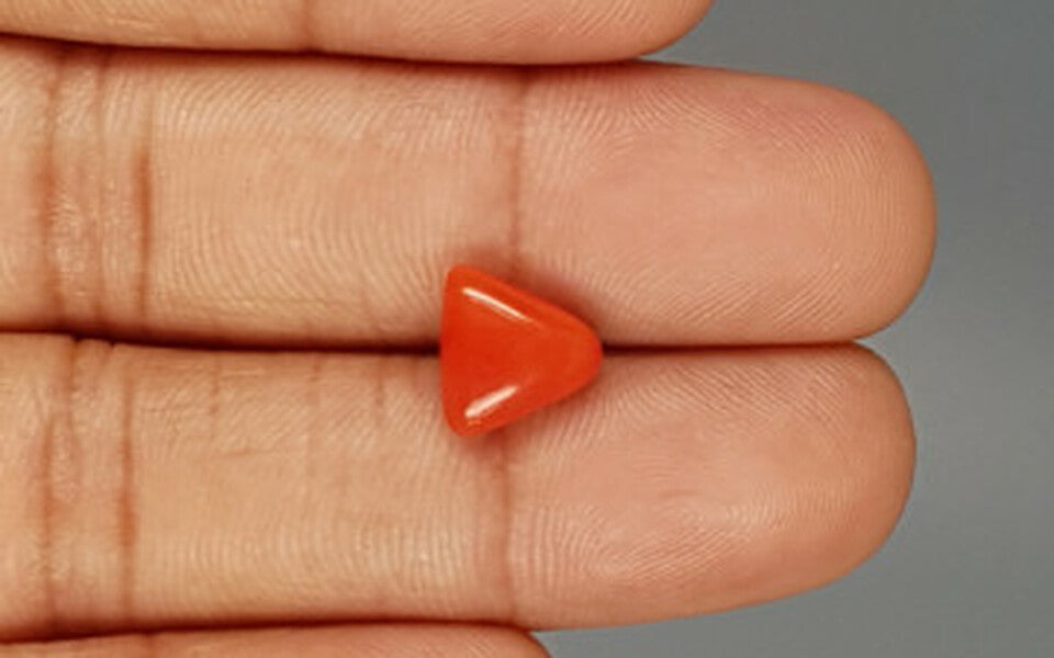 Red Coral - 3.17 Carat (3.50 Ratti - Moonga)