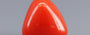 Italian Red Coral - 3.19 Carat Limited Quality TC-5280